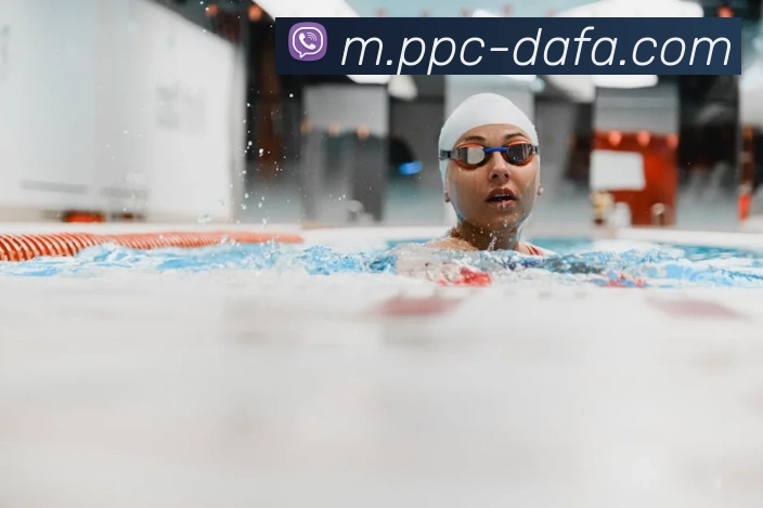 大发彩票平台生态图